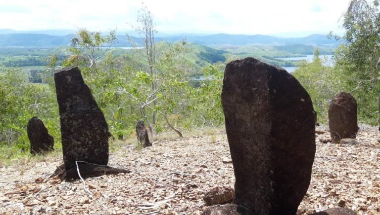 tutari20191122 013624 1 768x436