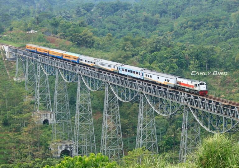 44614694801 b8869e747d b 768x540