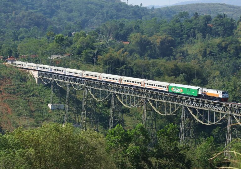 50296797078 1863b921ed b 768x539