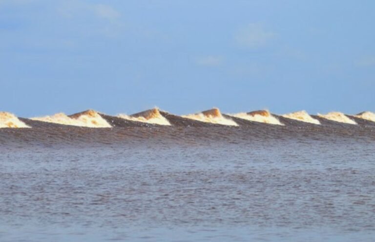 hamkagiat tour travel ccbwb 196 768x495