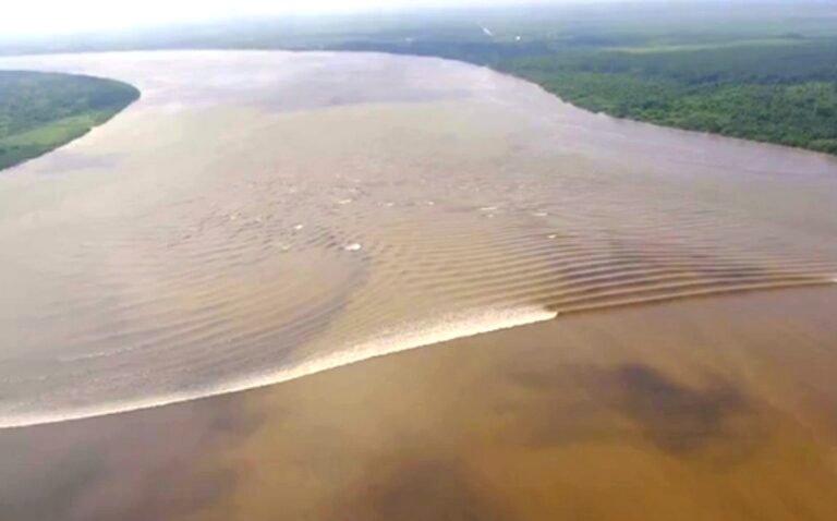 ombak sungai kampar bono 768x478