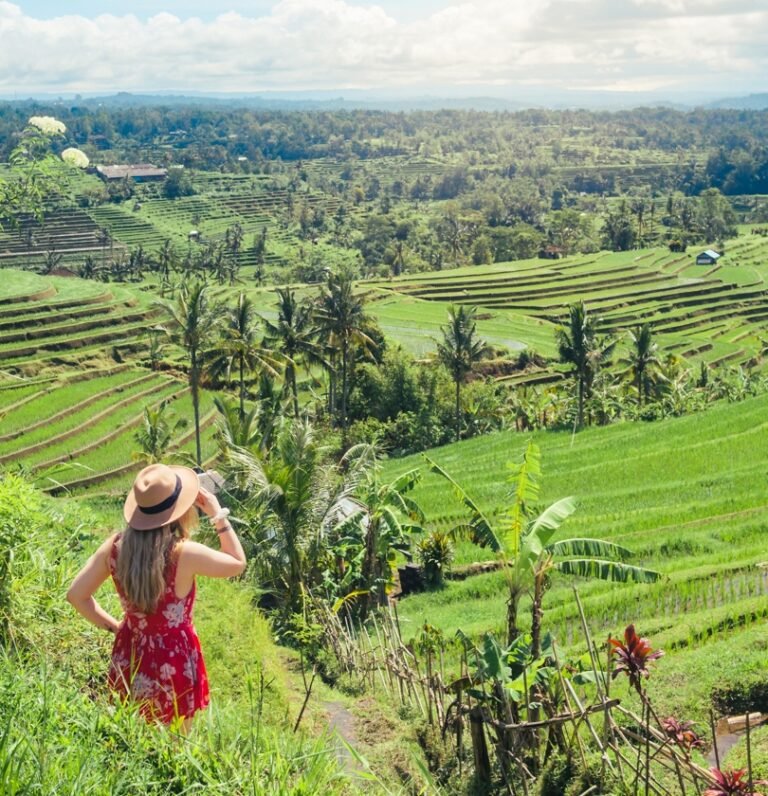 Jatiluwih Rice Terraces Bali 1 768x796