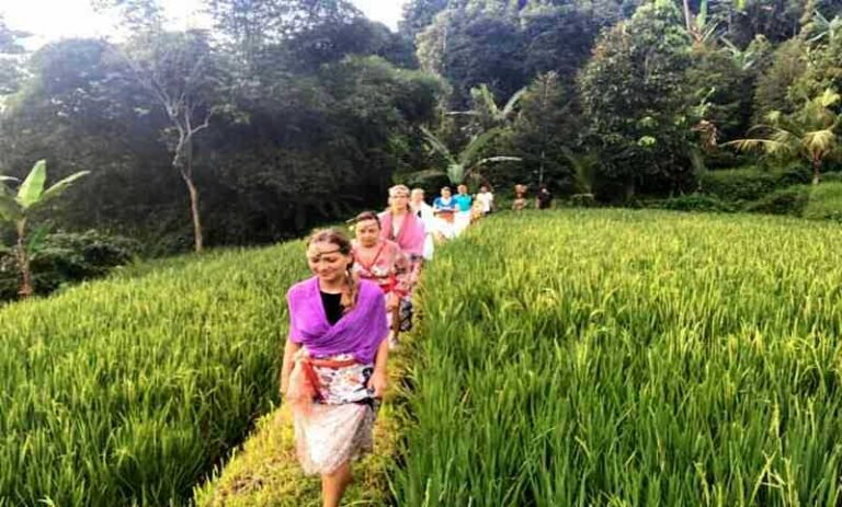 balipostcom desa wisata sudaji andalkan kearifan lokal untuk pikat wisatawan 01 768x463