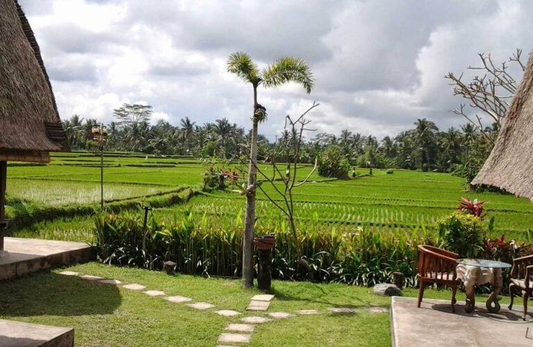 desa wisata ubud 768x501