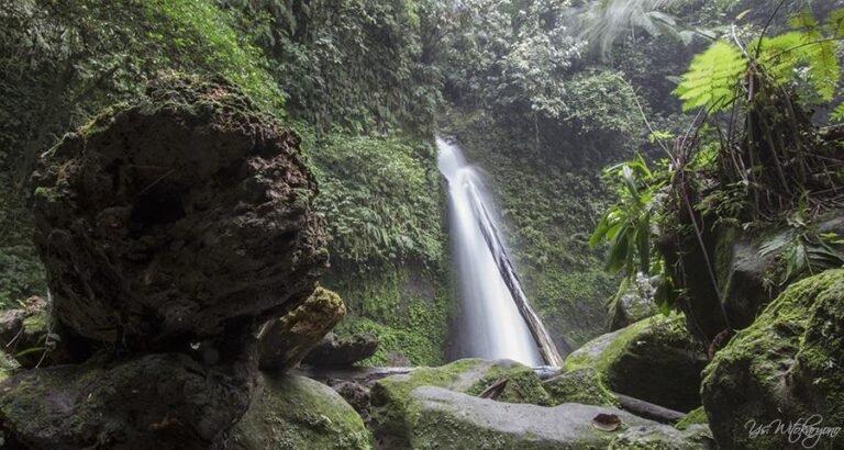 14223243991235726058 768x410