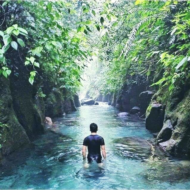 14925539 1240668225956115 1994821491081741285 n 1