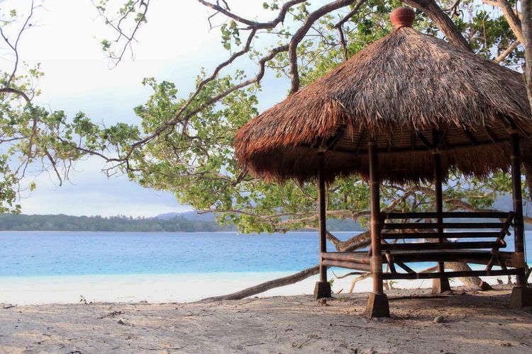 Hore! Taman Nasional Ujung Kulon Sudah Bisa Dikunjungi Lagi