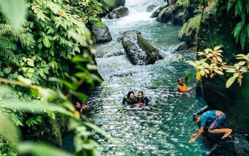 g5dzhl8hd50r2w62yj5t 17447