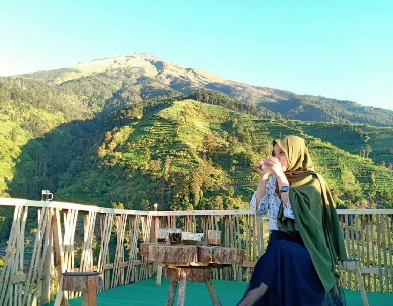 lokasi mangli sky view 768x599