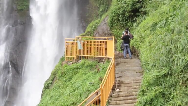 maxresdefault 1 2 768x432 1