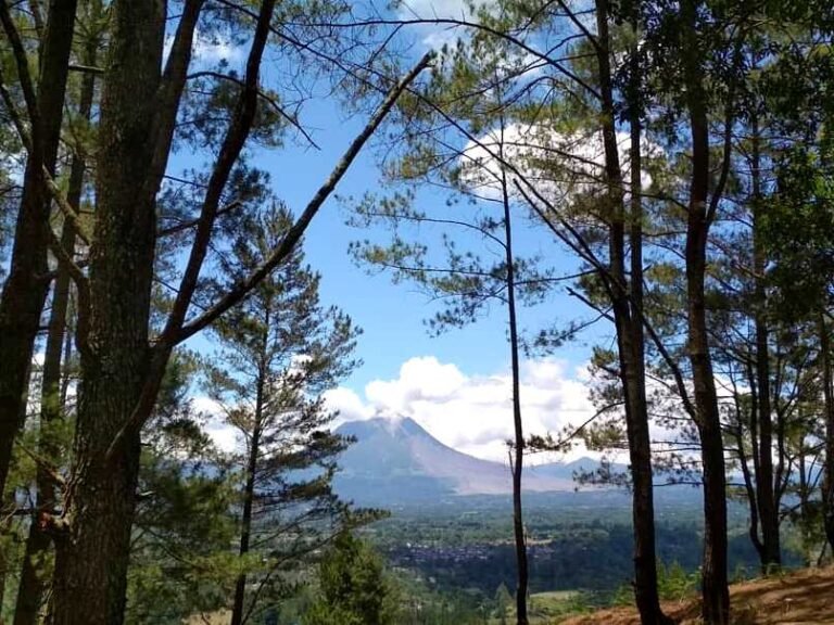 puncak pelangkah gading 1 768x576