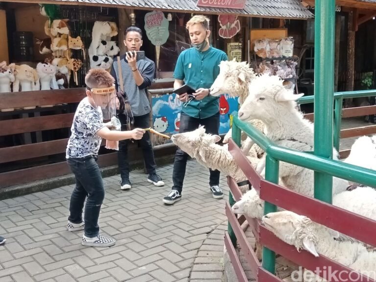 farm house bandung 768x576