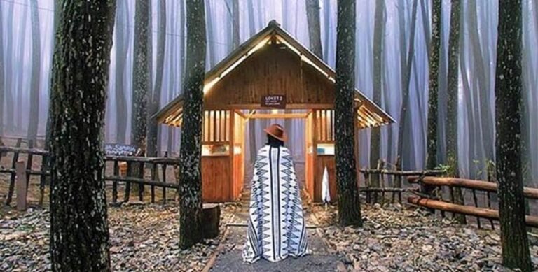 fasilitas hutan pinus mangunan 768x389