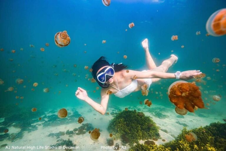 24126917 198001867433984 8558436916758839296 n 768x512