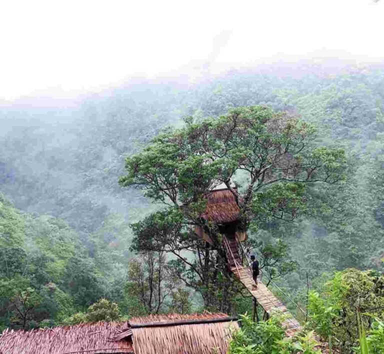 5059 20200729190939 768x708