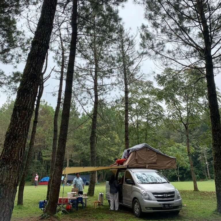 @jungle.milk 3 768x768