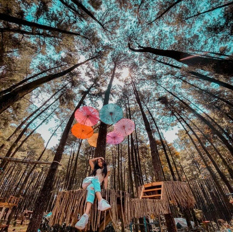 Gunung Pancar Jawa Barat f.a 08 768x764