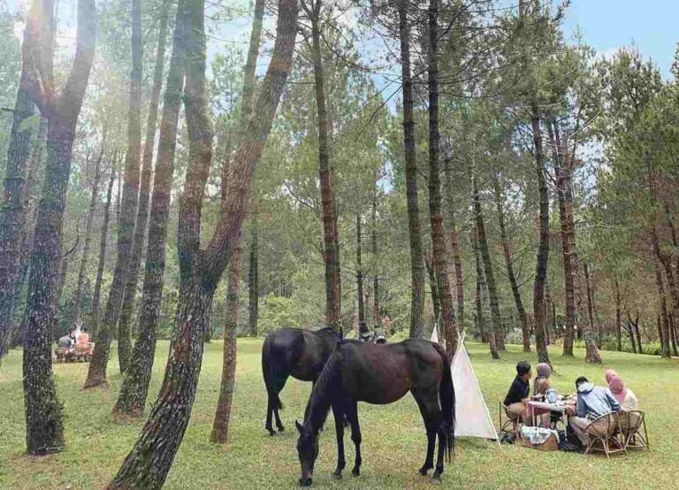 IMG 20210610 WA0072 768x554