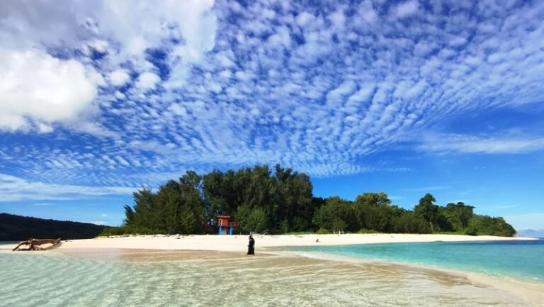 IMG 20211224 155952 1 768x433