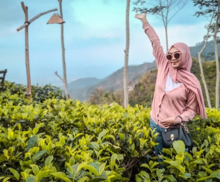 Kebun Teh Nglinggo e1623378805992 768x635