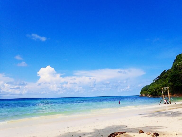 P4230203 copy 768x576