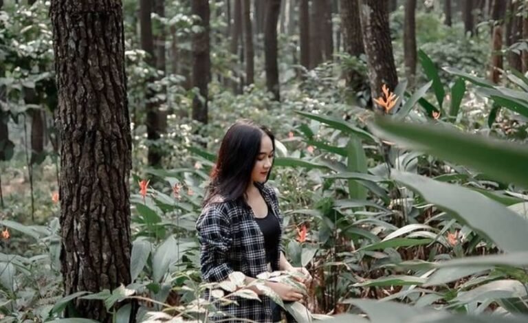 Taman Wisata Gunung Pancar 768x470