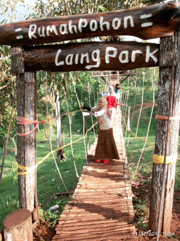 img 20151124 wa0011 768x1025