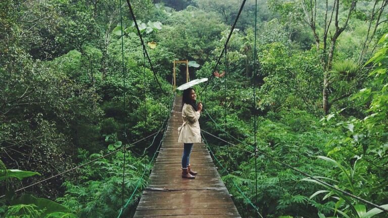 spot foto jembatan di taman hutan raya bandung 768x432