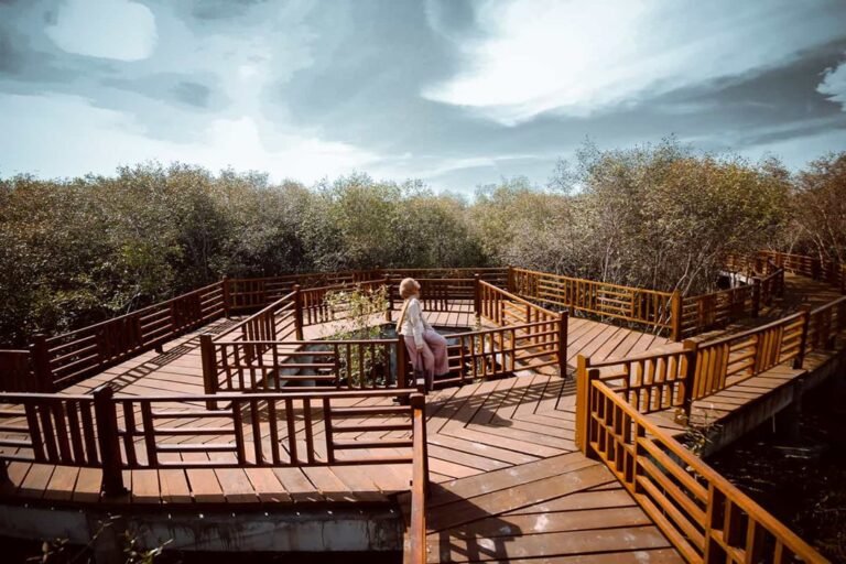 wisata mangrove gunung anyar surabaya 768x512