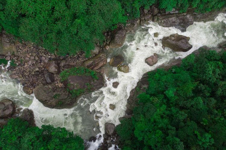 6 Tips Aman Berenang di Sungai, Bisa Bawa Benda-benda Ini
