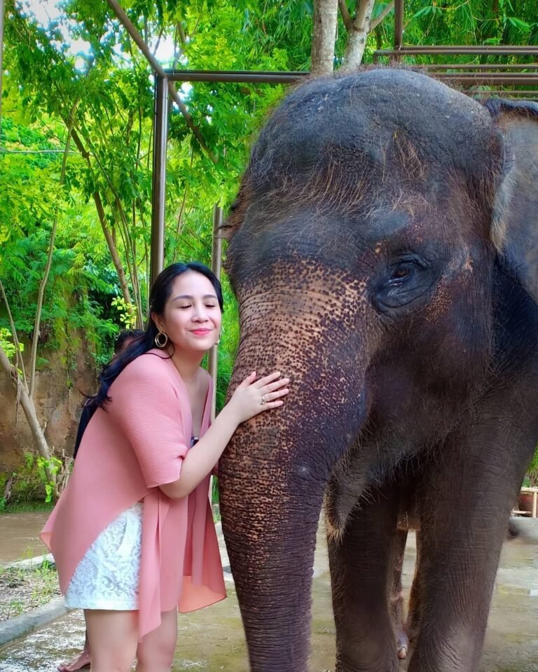 5c0f7f7166fb78bd7b8b4569 46325745 338318236719184 7218872370686713261 n 768x960