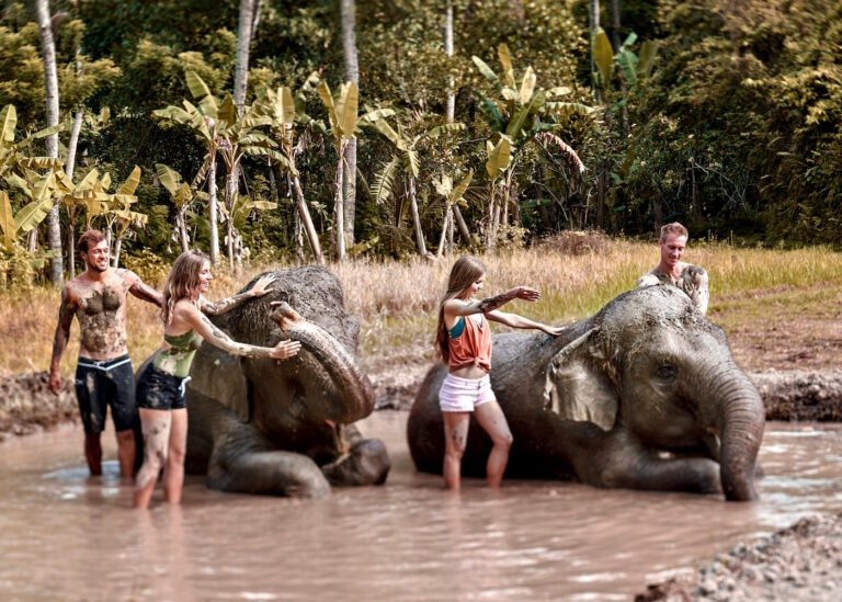 Bali Zoo family friendly attraction day out ELEPHANT MUD FUN 1 768x549