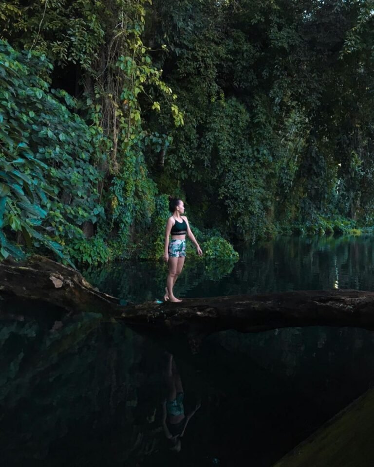 265897885 95deb799c8be8bbd7a8b6e802b2f5820 56a90ed6d1d5a03141322d65d836ae44 768x960