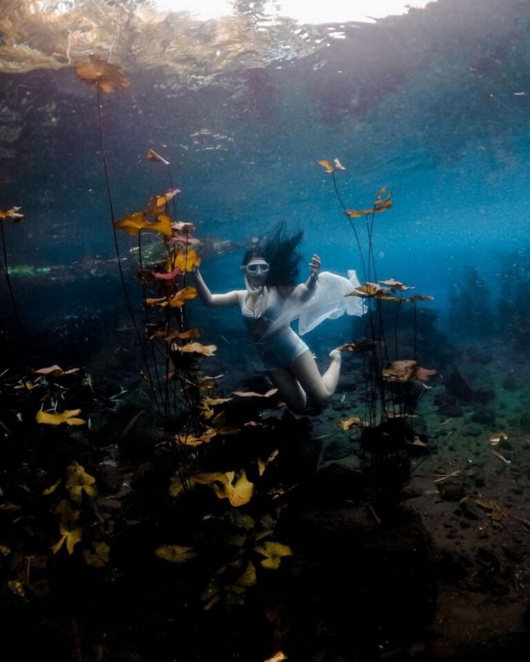 655172297 95deb799c8be8bbd7a8b6e802b2f5820 01987d81ebe203324fe23189571d4fc1 768x960