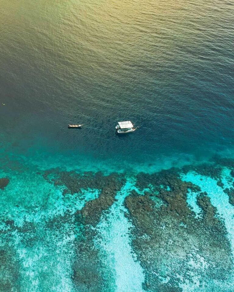 fromandroid 6905594bb5dc165162b169e4f0d36dbf 768x960