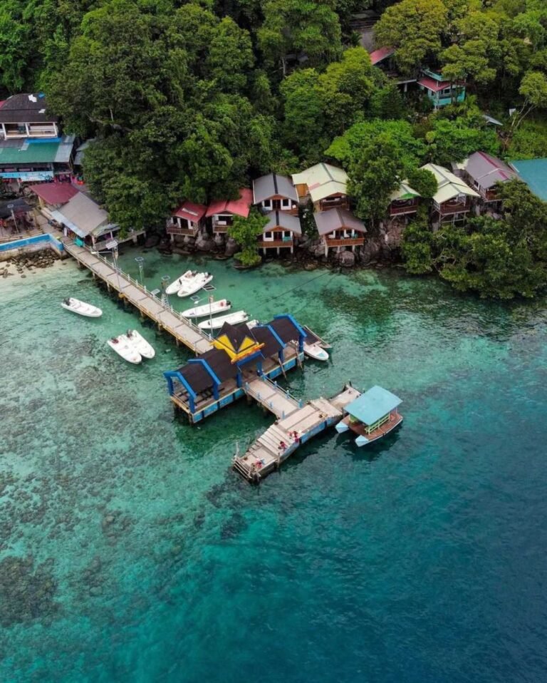 fromandroid f6f819b54729436419dadfbc852165fb 768x958