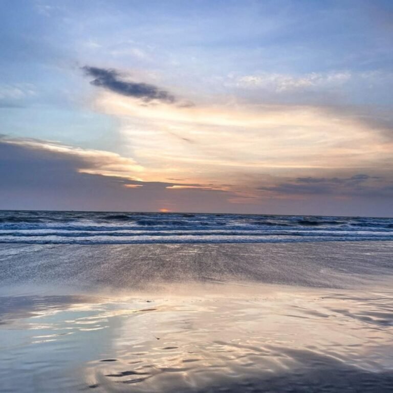 20220725 165500 329ae2b286ff7799fbbec7d4597d307a 32aee73986051e7a916e4b77e32152ce 768x768