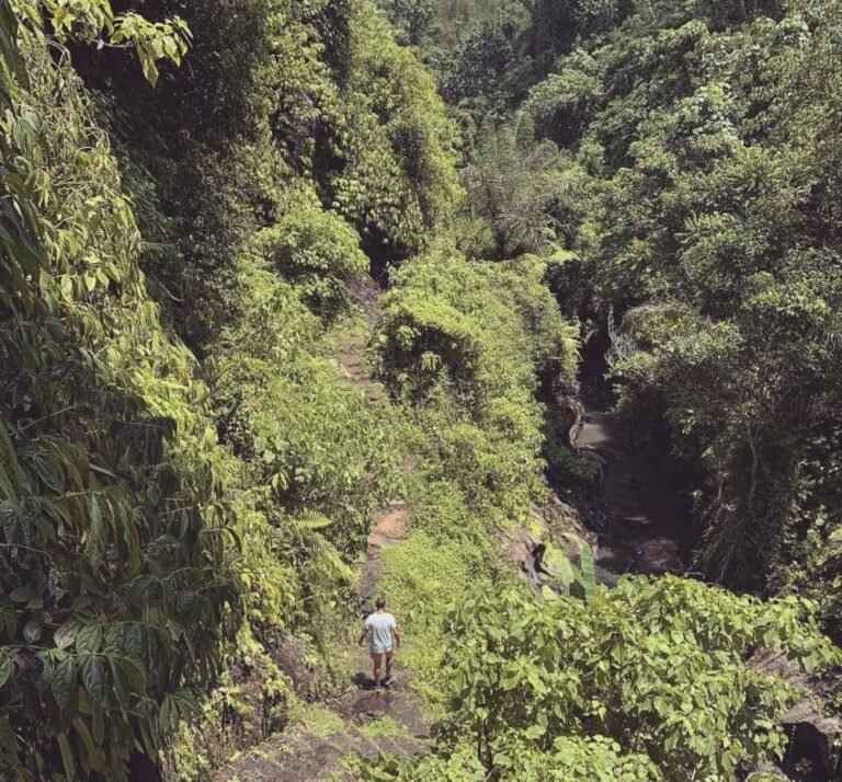 20220801 202348 329ae2b286ff7799fbbec7d4597d307a 5665ad737931382052def7dfe051a04f 768x714