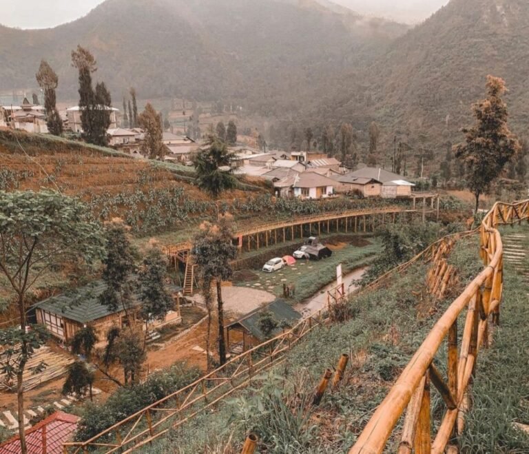 20220812 172153 329ae2b286ff7799fbbec7d4597d307a 1b004c9f869a431e802f1e8d97fde687 768x659