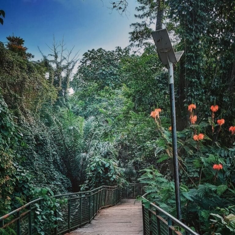 20220821 234209 329ae2b286ff7799fbbec7d4597d307a 63372c1d0b2ab1edcf5cdc5c1cf3bd92 768x768