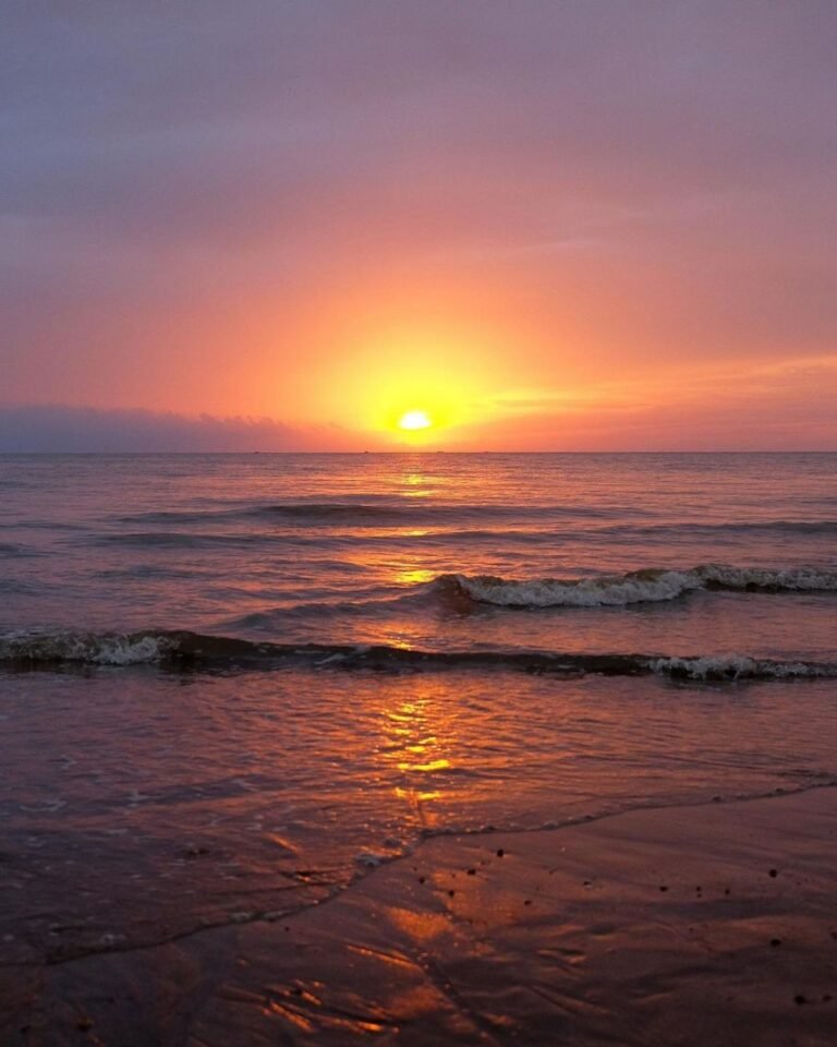 299904156 1070771406908966 1520673367593767150 n 41de55f2c34bd9d1bd2b234d79dab910 a52a98a59b6e135fd4ddc85ac1088a88 768x960