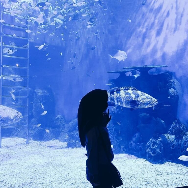 41935598 1938793232880777 19552722650923008 n 183dea7df1c5b004494d5c23f34914c9 768x768