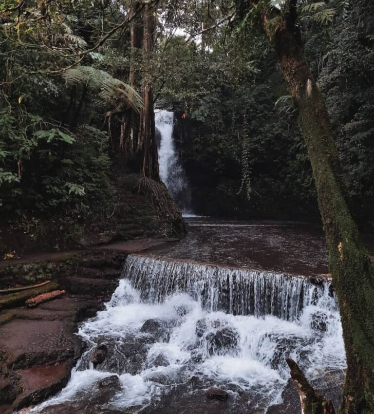 20220915 203803 329ae2b286ff7799fbbec7d4597d307a b88461bce49259beeb5336822ca796e5 768x850