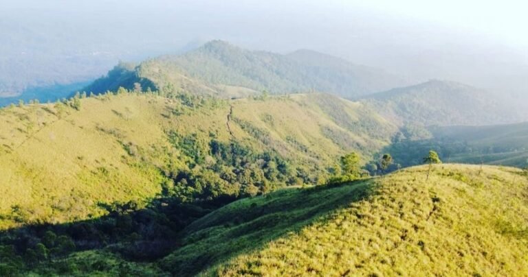 20220929 130552 329ae2b286ff7799fbbec7d4597d307a d4994204ae936f405997bc60f515f54b 768x404