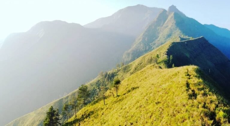 20220929 130602 329ae2b286ff7799fbbec7d4597d307a b5b51cf70c85e168debadab1b94f3525 768x422