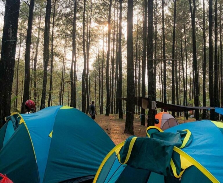 20221003 074511 329ae2b286ff7799fbbec7d4597d307a 388e0472b0042c159fc58809f7231db7 768x629