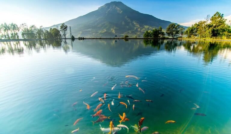 Embung Kledung Temanggung3 768x448