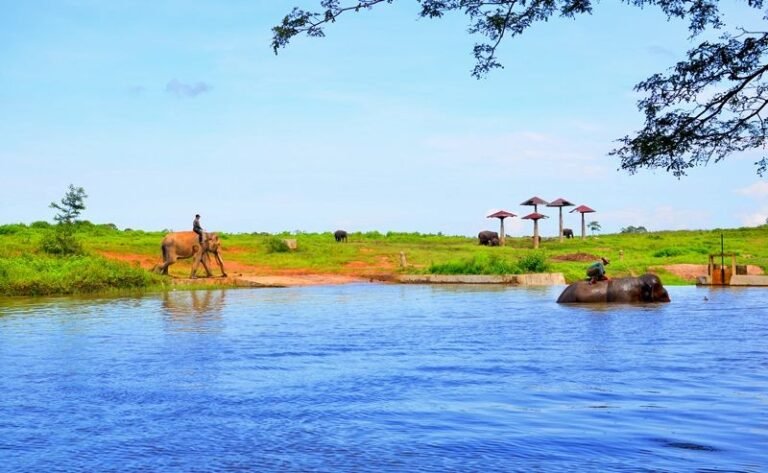 Taman Nasional Way Kambas1 768x473