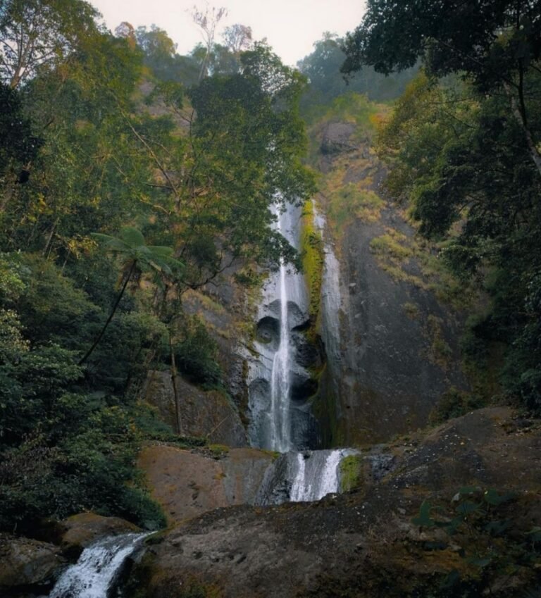 Wisata Air Terjun Dolo2 768x849