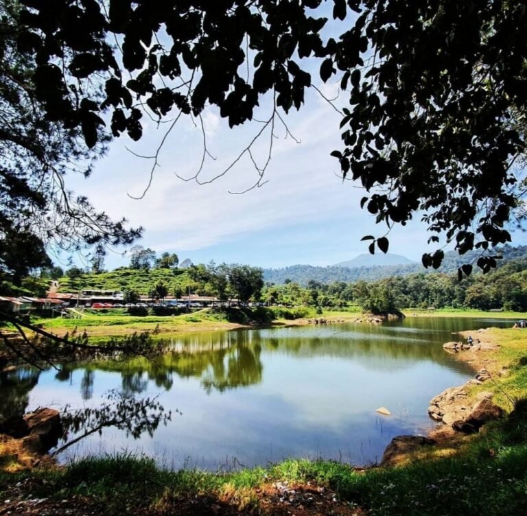 Wisata Situ Patenggang Bandung2 768x752